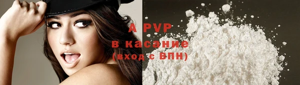 прущие крисы Новодвинск