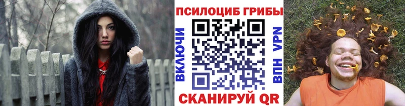 Псилоцибиновые грибы мицелий  Урус-Мартан 