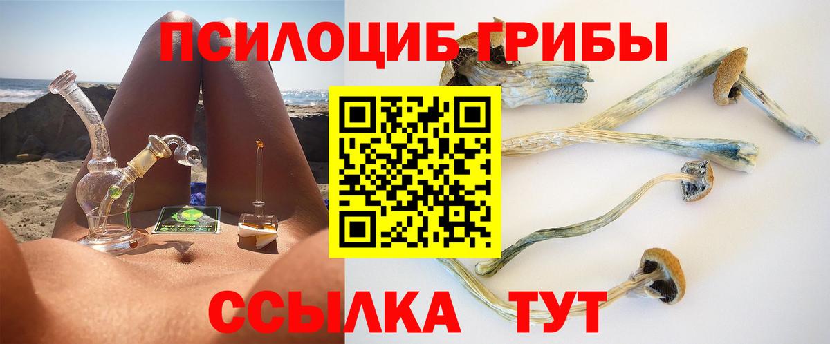 Урус-Мартан  Галлюциногенные грибы Psilocybe  где можно купить наркотик  Вход с VPN 